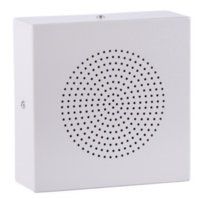 WS-06T Громкоговоритель настенный, металлический вандалозащищенный