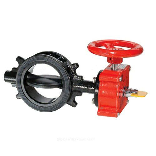 Затвор дисковый межфланцевый BFV-250, Ду 150, PN16, со встроенным конечным выключателем