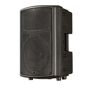 IX12 Двухполосная акустическая система в пластиковом корпусе, 200/800 Вт, 8 Ом, 96 дБ, 50-20000 Гц