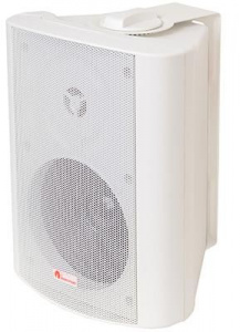 АСШ-10-30/100 (НП1) Акустическая система "ОКТАВА", 10 Вт, 30/100 В, настенное крепление, пластмассовый корпус, IP41, широкополосный