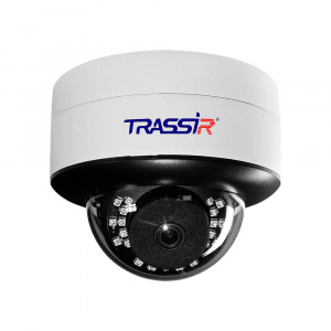TR-D3151IR2 (D) (f=2.8) Видеокамера купольная, уличная, сетевая, ИК, IP66