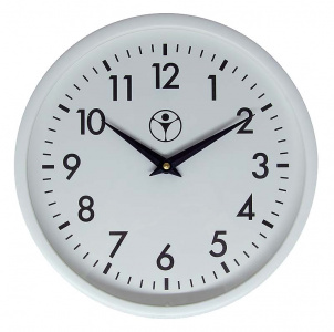 СВС.ОМС.30Б.ДС24Т.П.АЦ часы вторичные стрелочные для помещений с самоустанавливающимся механизмом